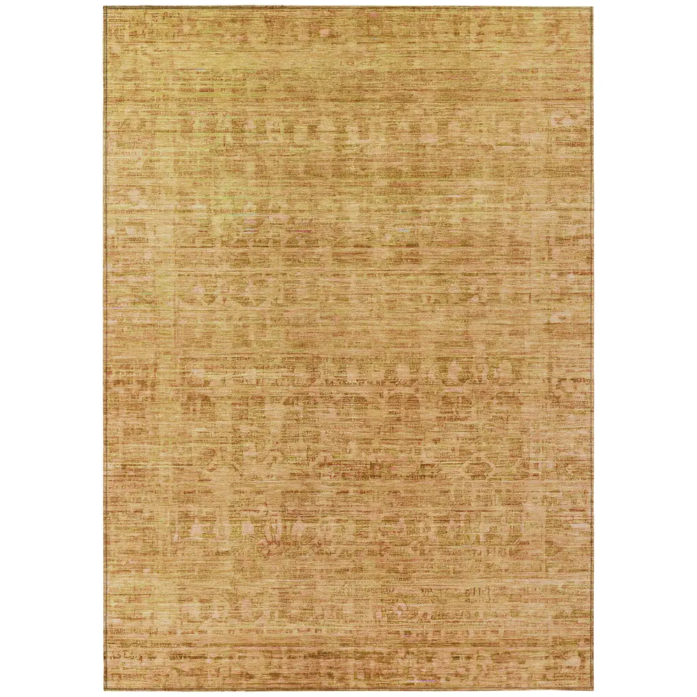 Chantille ACN1775 Salmon 5' x 7'6