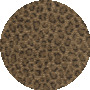 African Plain