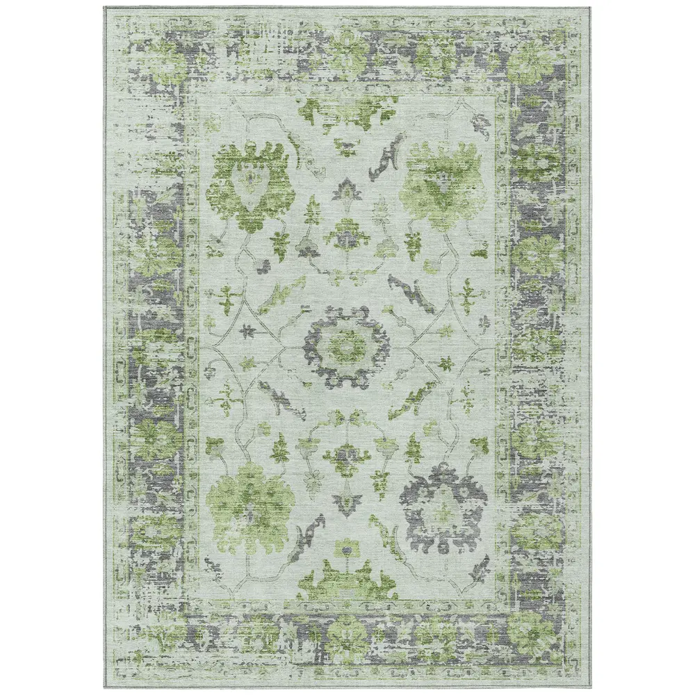 Chantille ACN1976 Mint 9' x 12' Rug