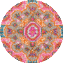 Ivory/Fuchsia