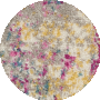 Ivory Multicolor