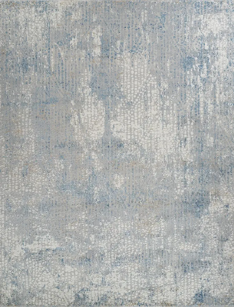 Pasargad Home Stella Design Power Loom Area Rug- 2' 8