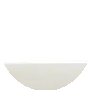 White Birch