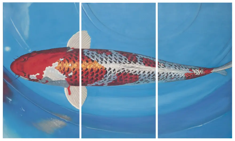 Go Fish Triptych Wall Art