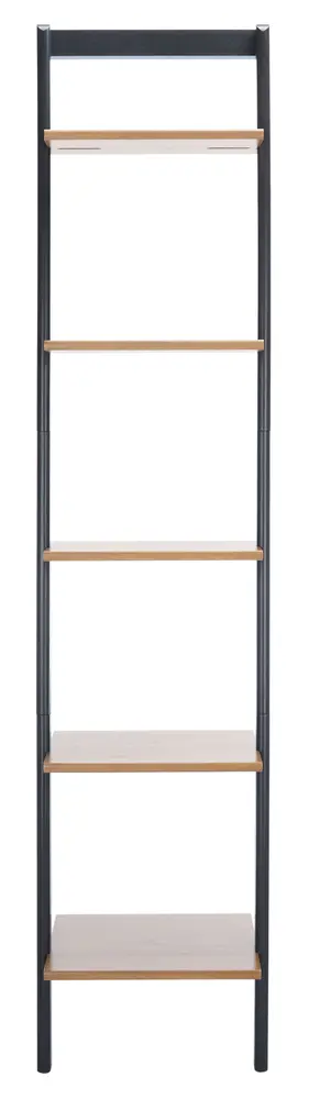 Allaire 5 Tier Leaning Etagere