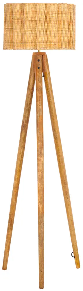 Nalani, 62 Inch, Natural, Mango Wood/Cane/Iron Floor Lamp