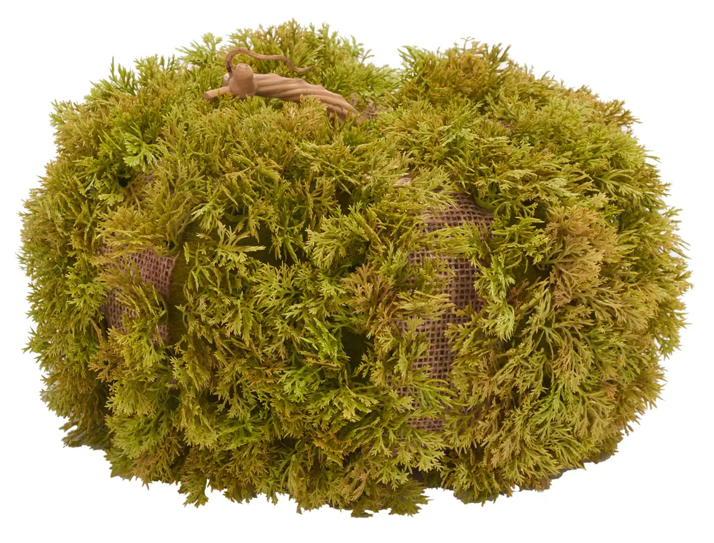 Faux 10 Inch Moss Pumpkin