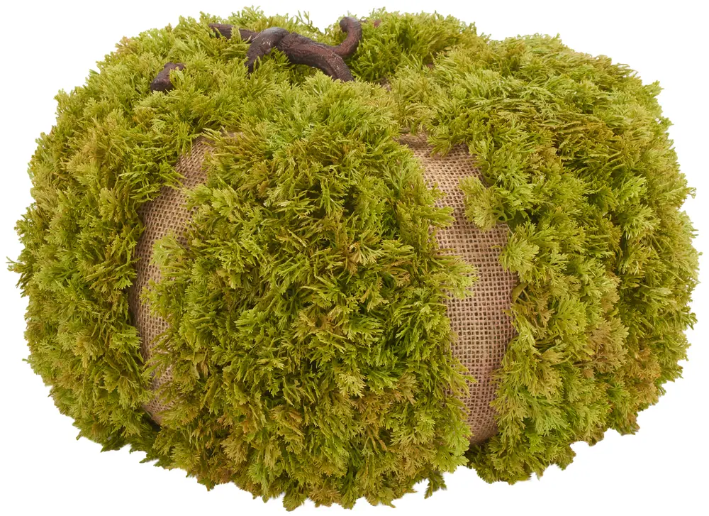 Faux 15 Inch Moss Pumpkin