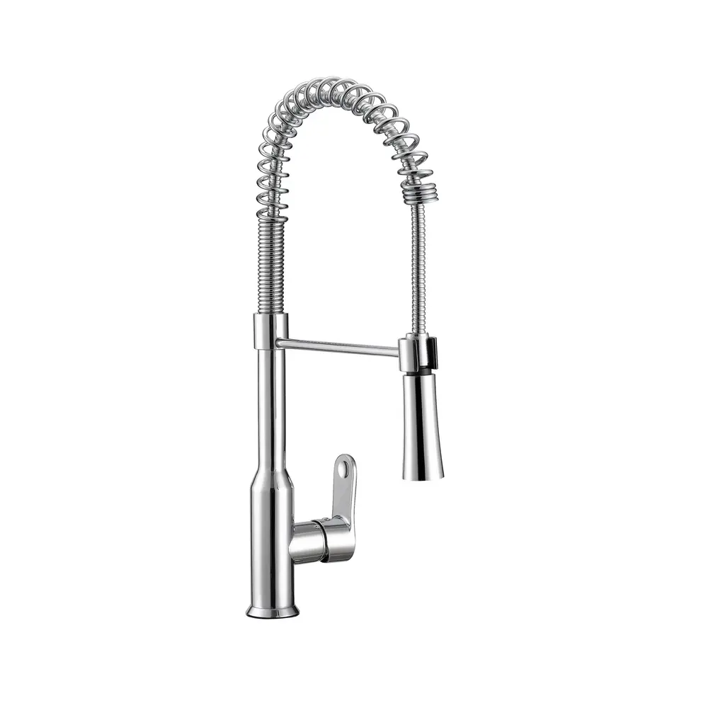 Euphoria Single Control Dual Function Spray Pull Down Stainless Steel 8.1