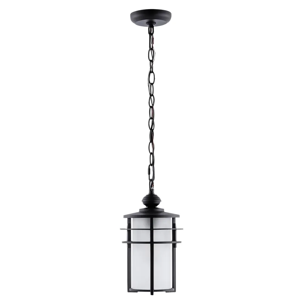 Adisyn Outdoor Pendant