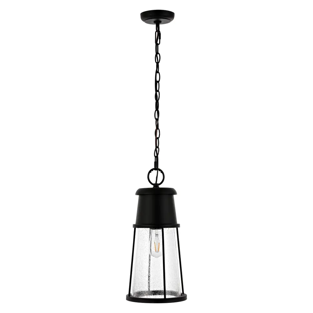 Laela Outdoor Pendant/Black