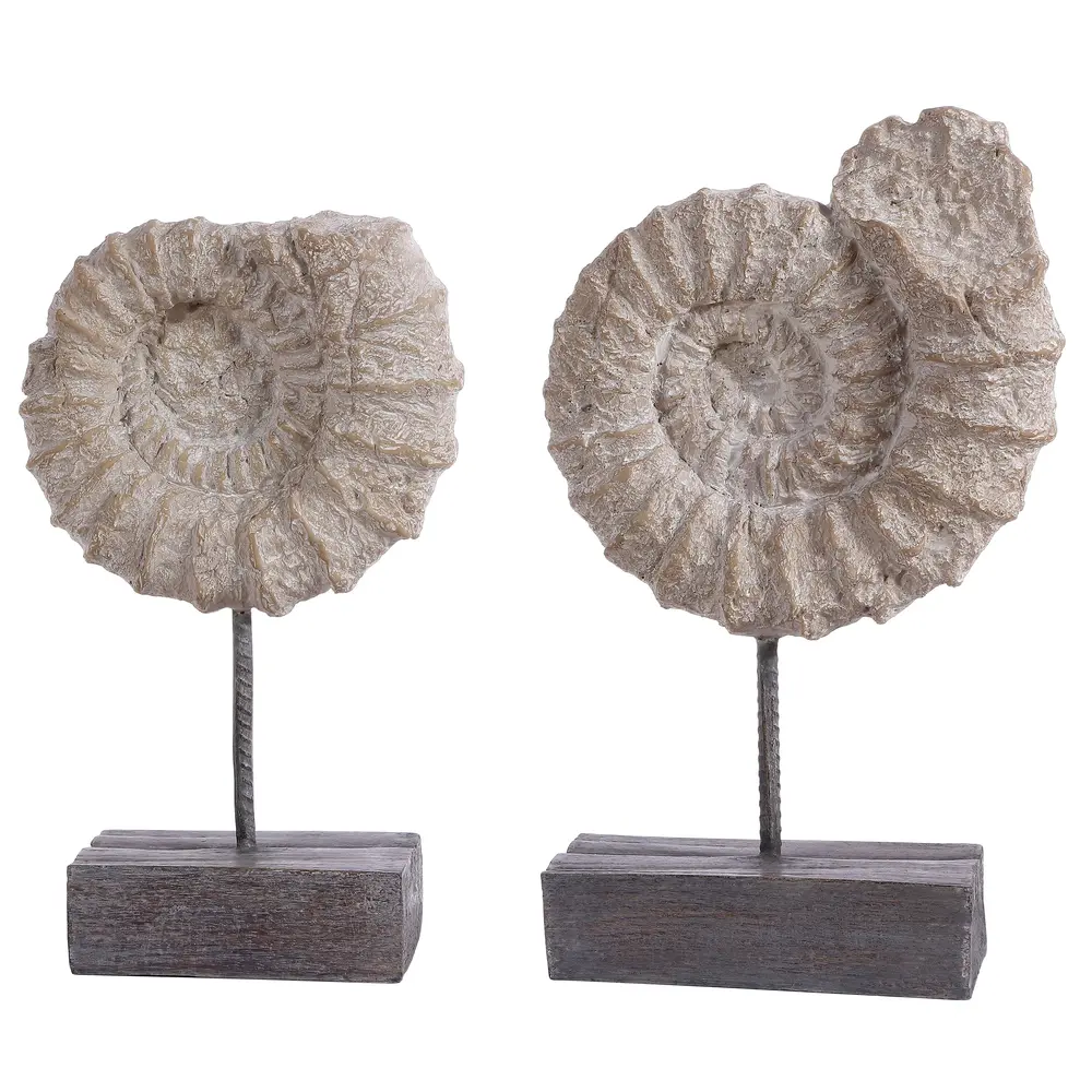 Toren Set Of 2 Ammonite Shell Table Decor