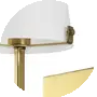 Brass Gold