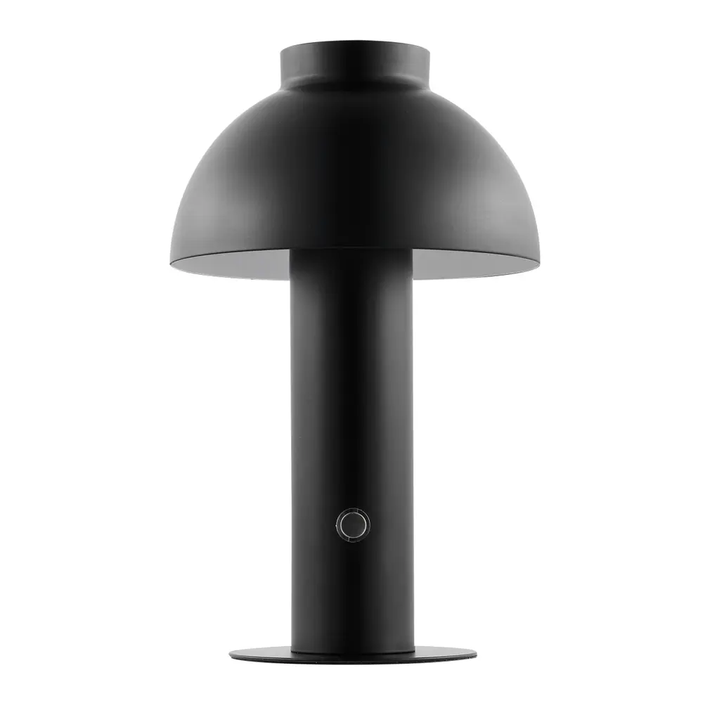 Niara, 11.5 Inch, Black, Iron, Rechargeable Led Table Lamp?
