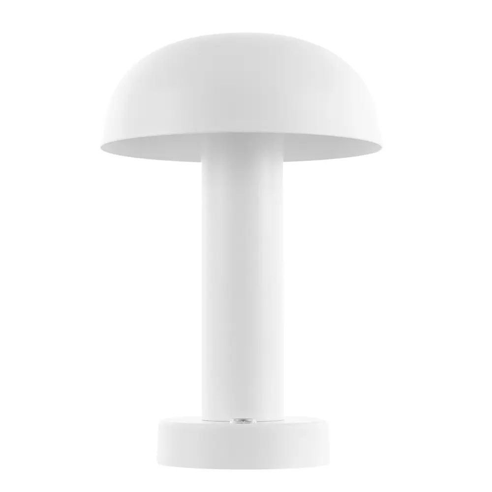 Brahma, 10.4 Inch, White, Iron, Led Rechargeable Table Lamp?