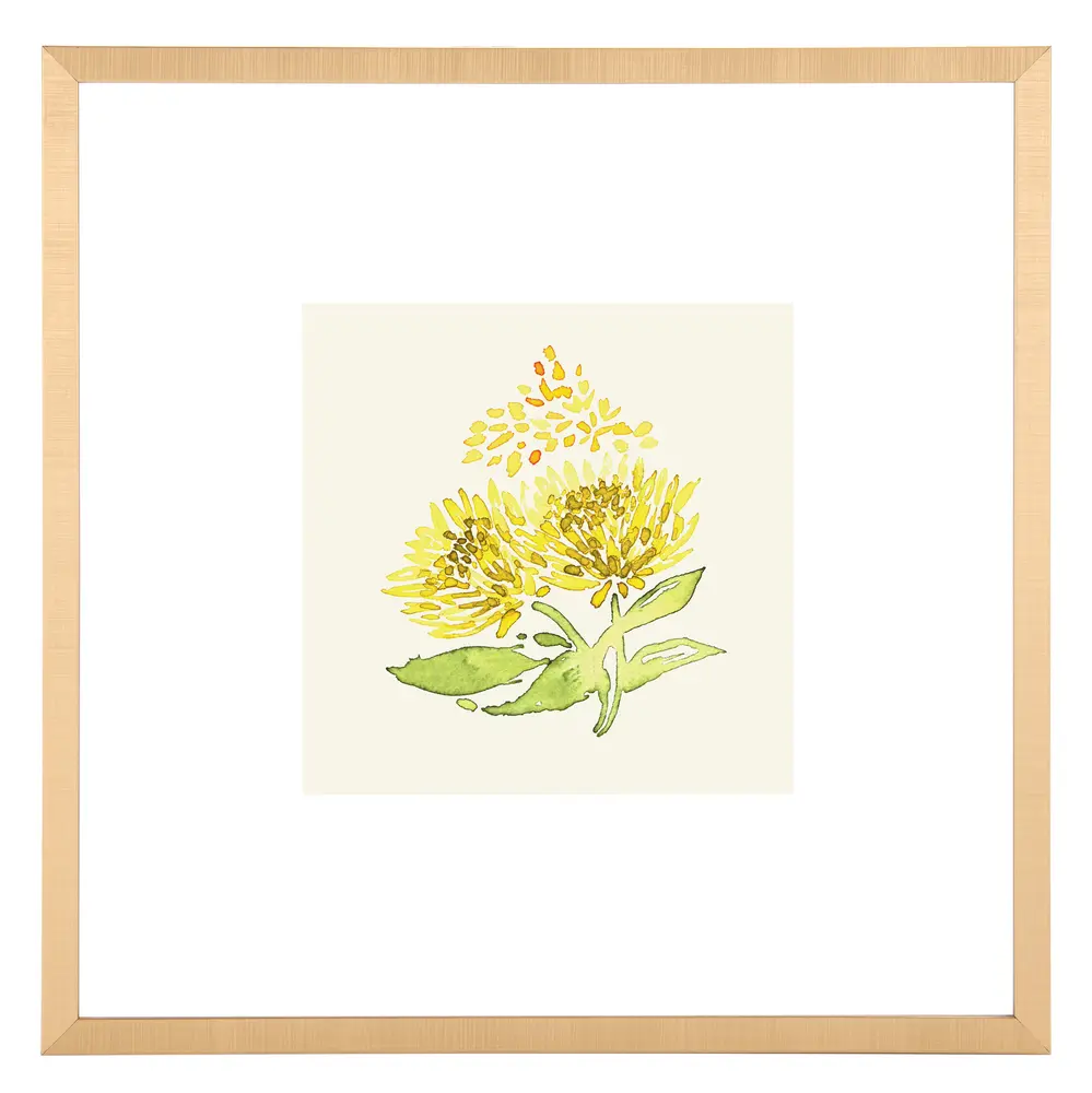 Summer Wishes, 16 X 16 Inch, Yellow/Spring Green, Framed Wall Art