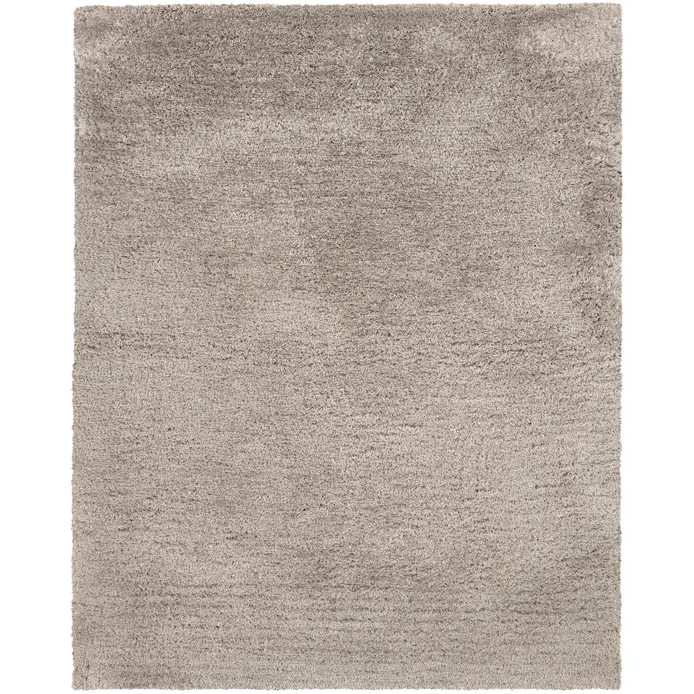 Cosmo 81109 Silver Indoor Area Rug - 3'3