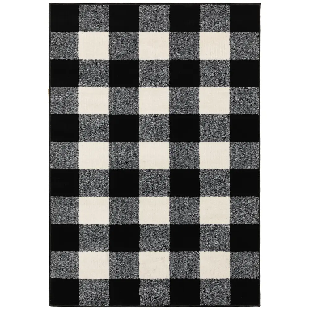Georgia 678D0 Black/ Ivory Indoor Area Rug - 5'3