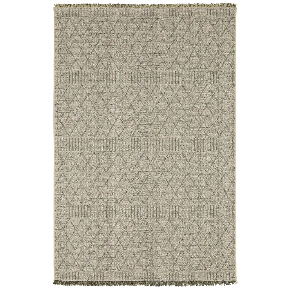 Gillian 5560J Beige/ Black Indoor/Outdoor Area Rug - 6'7