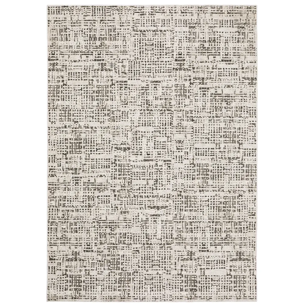 Nebulous 2060W Ivory/ Grey Indoor Area Rug - 6'7