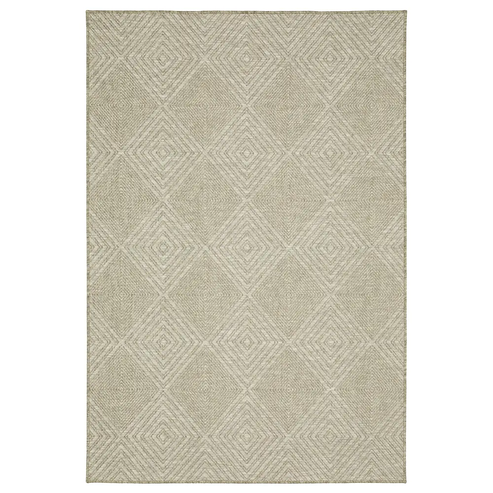 Tortuga TR05A Beige/ Beige Indoor/Outdoor Area Rug - 5'3