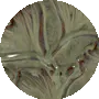 Top: Green; Base: Green