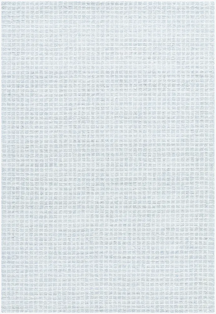 Andreas VVAN-2301 2' x 3' Handmade Rug