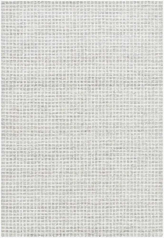 Andreas VVAN-2302 4' x 6' Handmade Rug