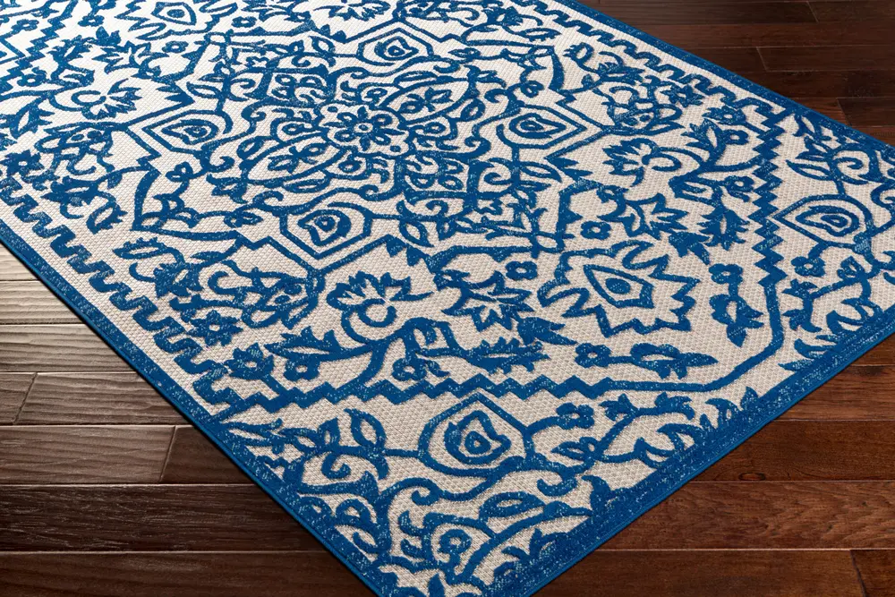 Big Sur BSR-2301 2' x 3' Machine Woven Rug