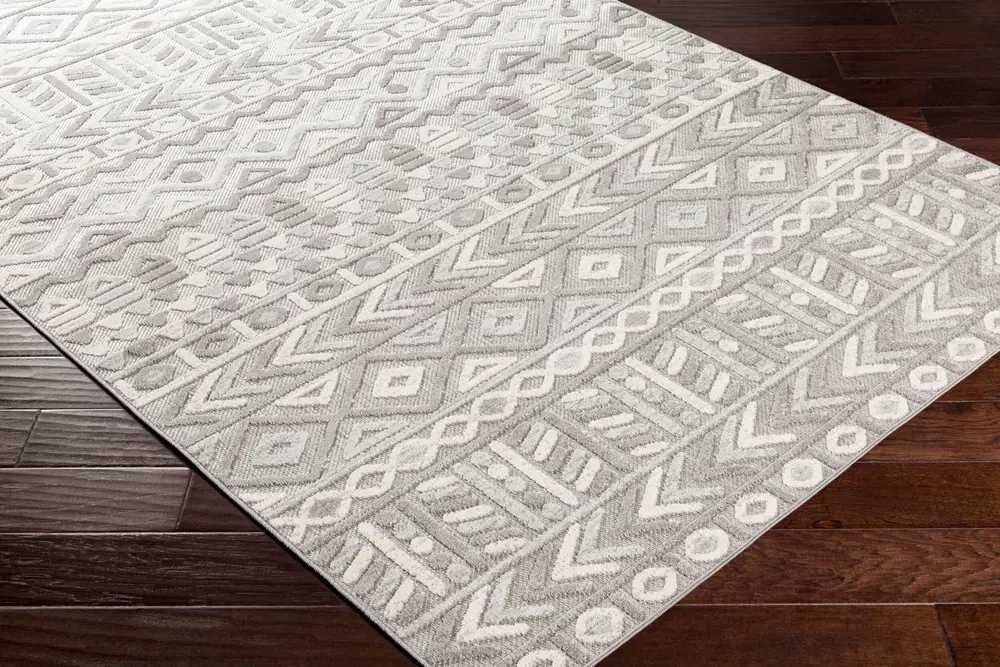 Big Sur BSR-2311 2' x 3' Machine Woven Rug