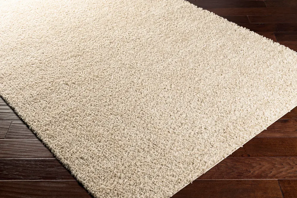 Bliss Shag BLI-2303 2' x 3' Machine Woven Rug