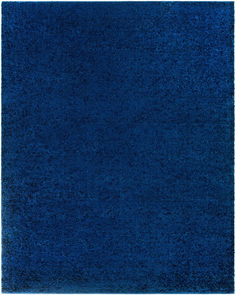 Bliss Shag BLI-2314 4'3