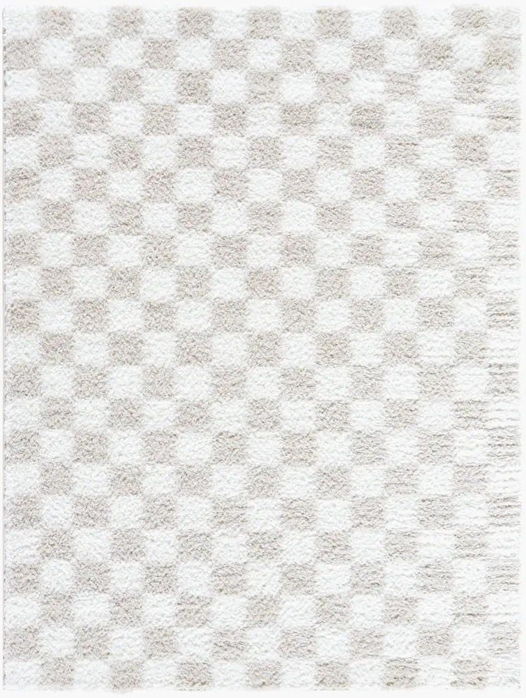 Cloudy Shag CDG-2330 6'7