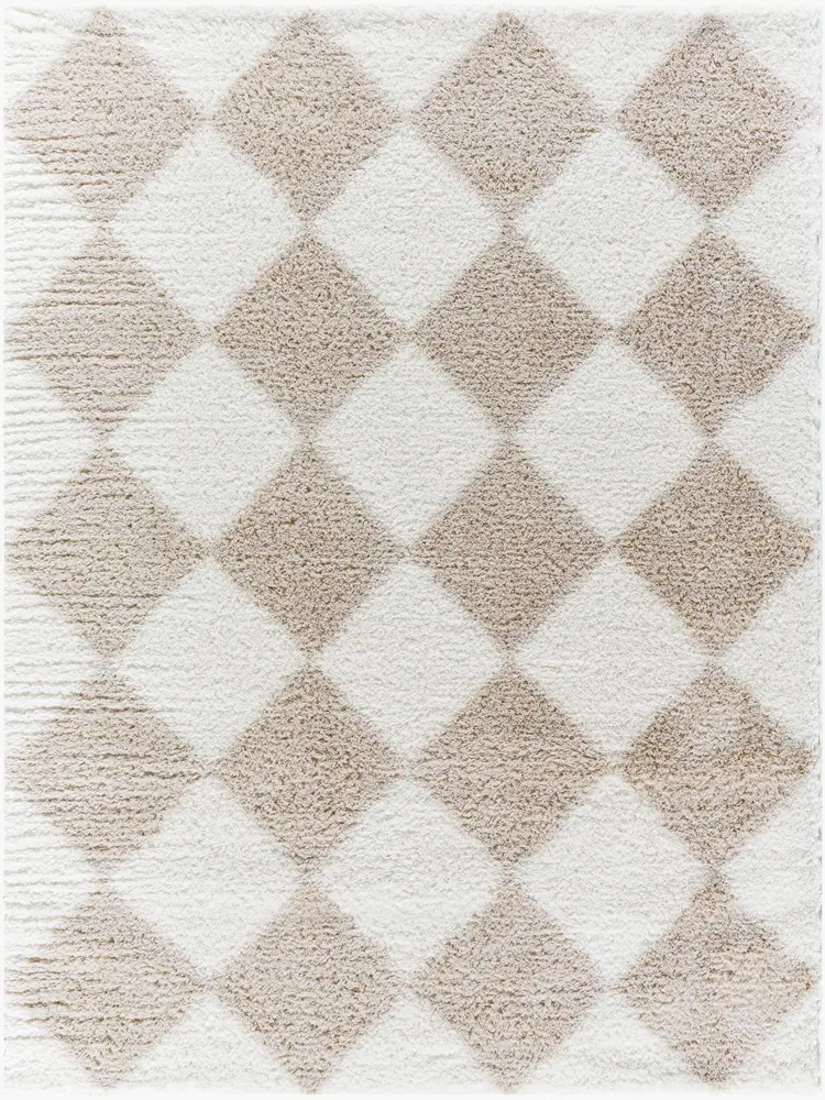 Cloudy Shag CDG-2338 6'7