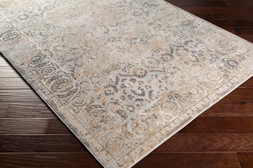 Dryden DDN-2310 2' x 3' Machine Woven Rug