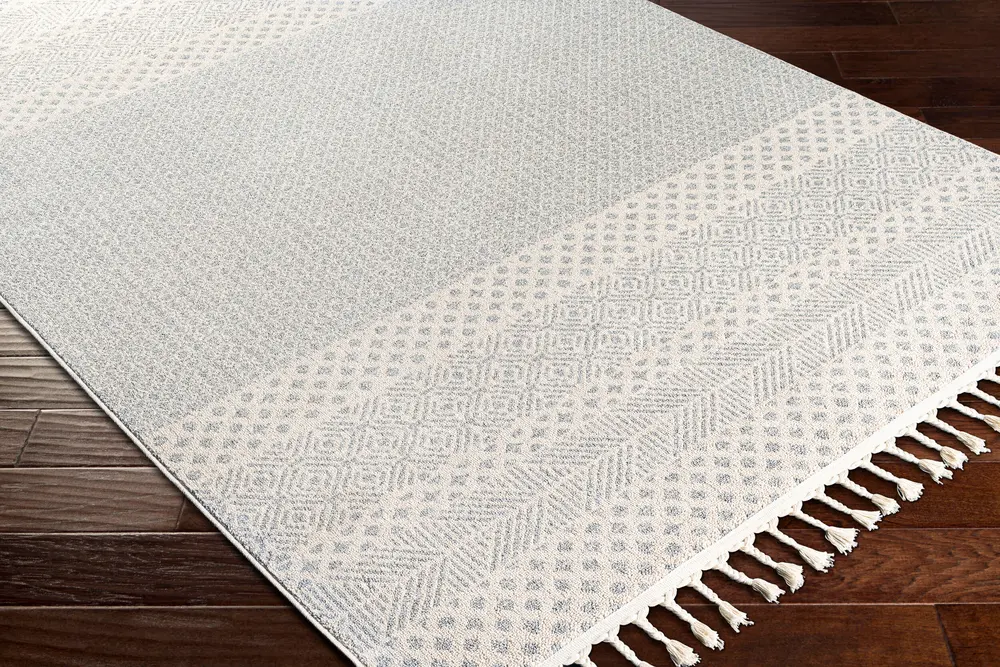 Euphoria ERP-2301 2' x 3' Machine Woven Rug