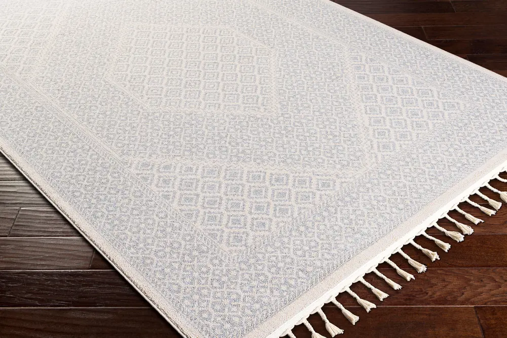 Euphoria ERP-2303 2' x 3' Machine Woven Rug