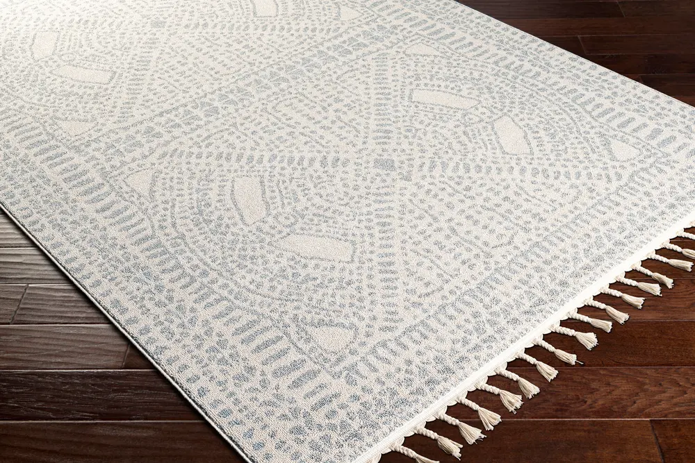 Euphoria ERP-2307 2' x 3' Machine Woven Rug