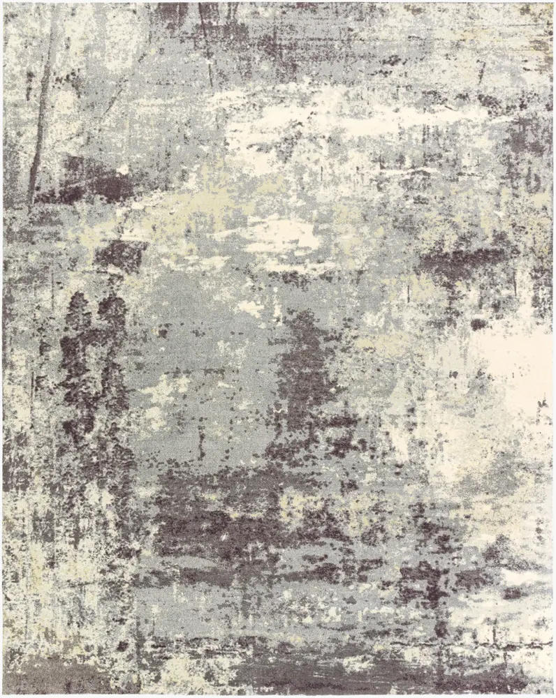 Felicity FCT-8009 4' x 6' Machine Woven Rug