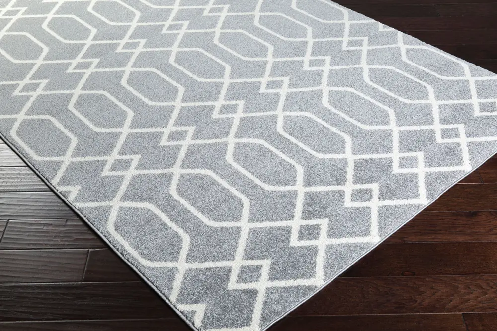 Horizon HRZ-1045 2' x 3' Machine Woven Rug