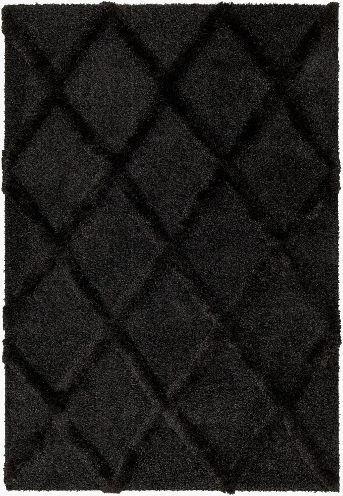 Hudson Shag HDS-2300 5'3