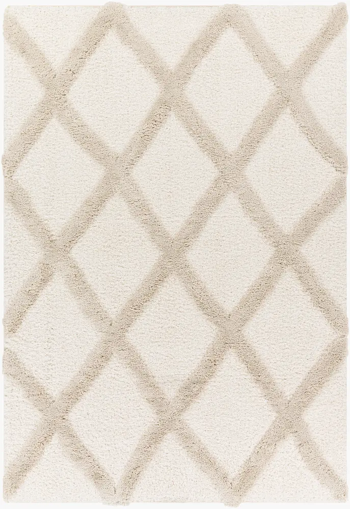 Hudson Shag HDS-2306 9'2