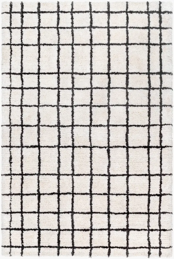 Nicole NCO-2300 2' x 3' Handmade Rug