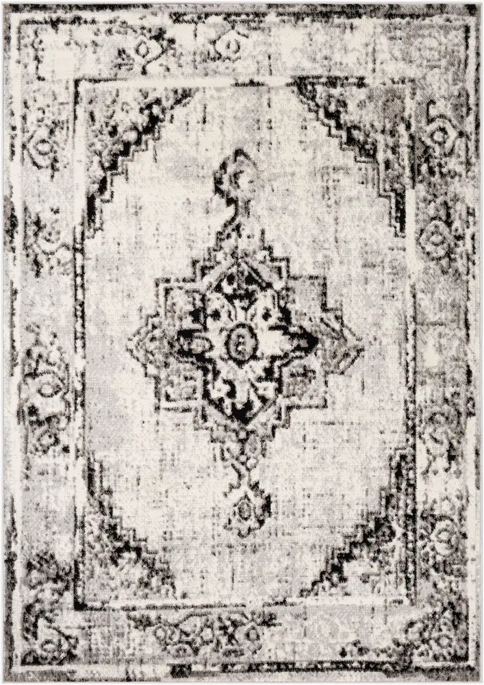 Pisa PSS-2314 5' x 7' Machine Woven Rug