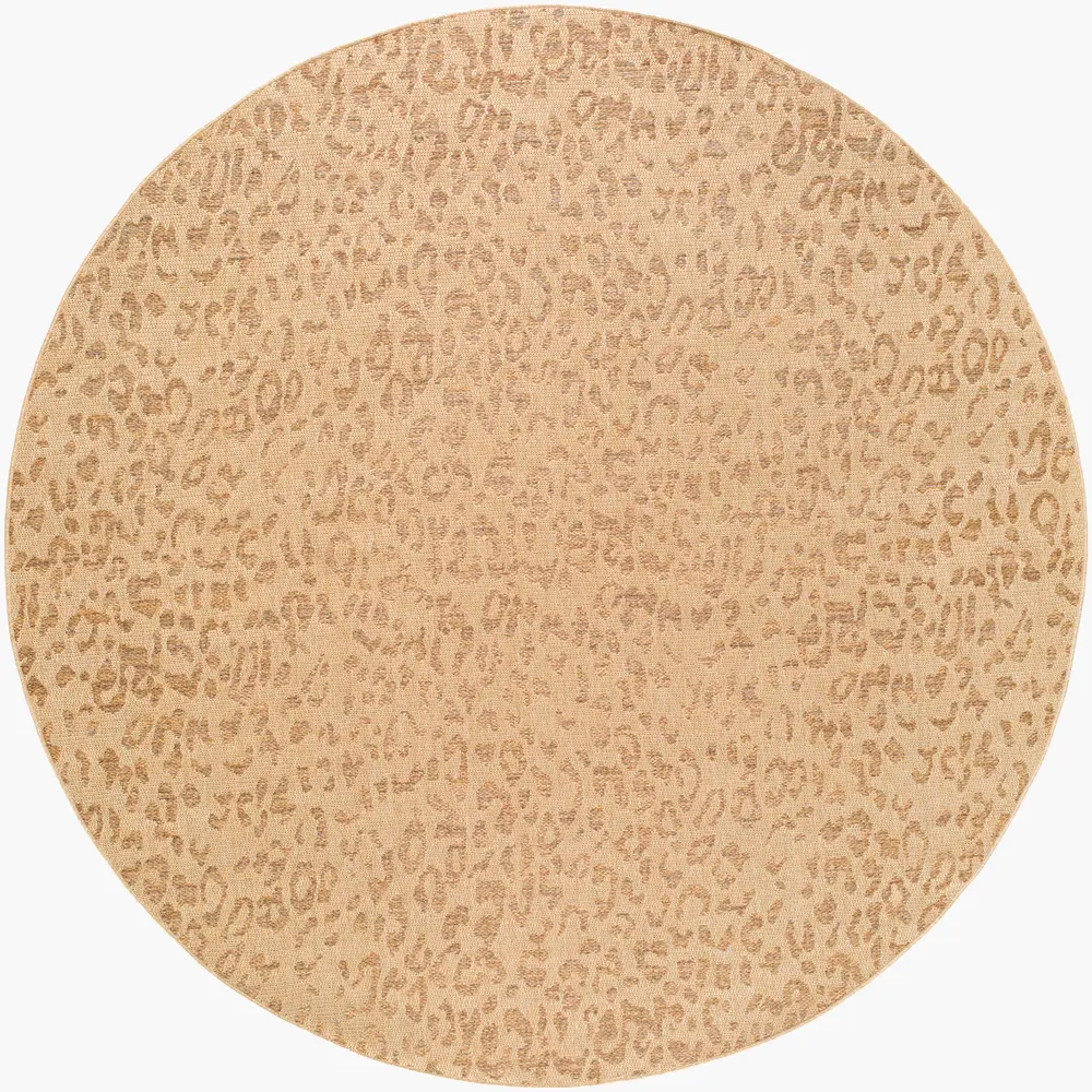 Pismo Beach PMB-2300 7'10