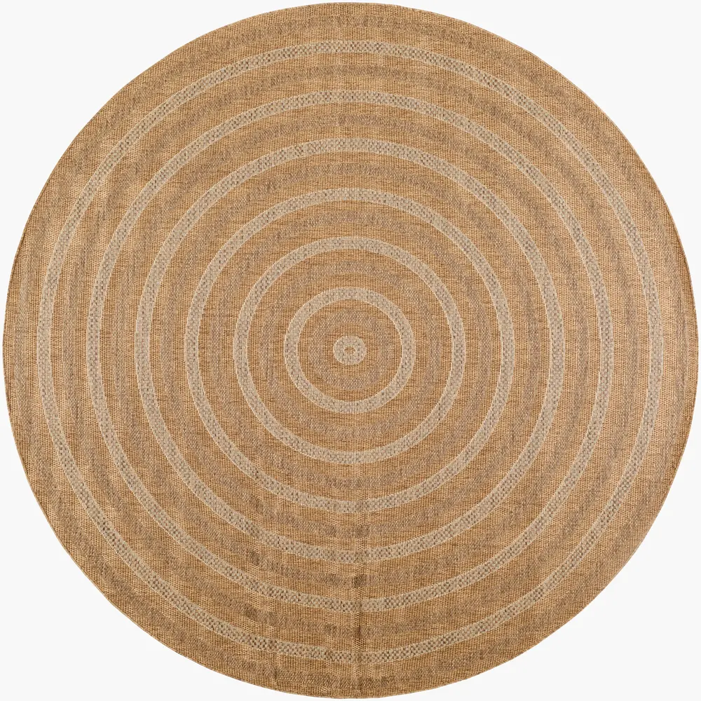 Pismo Beach PMB-2305 7'10