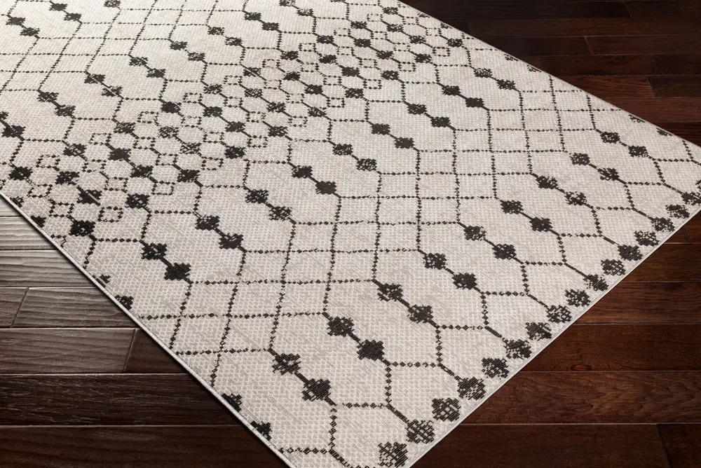 Rafetus ETS-2353 5'3