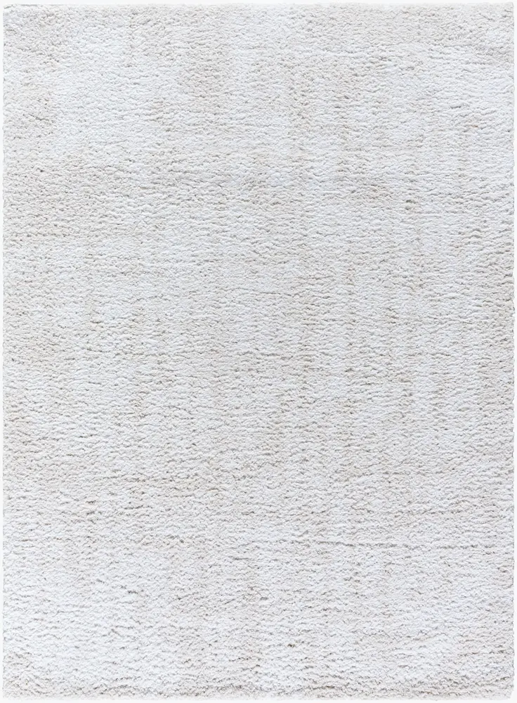 Sacramento Shag SCS-2302 5'3