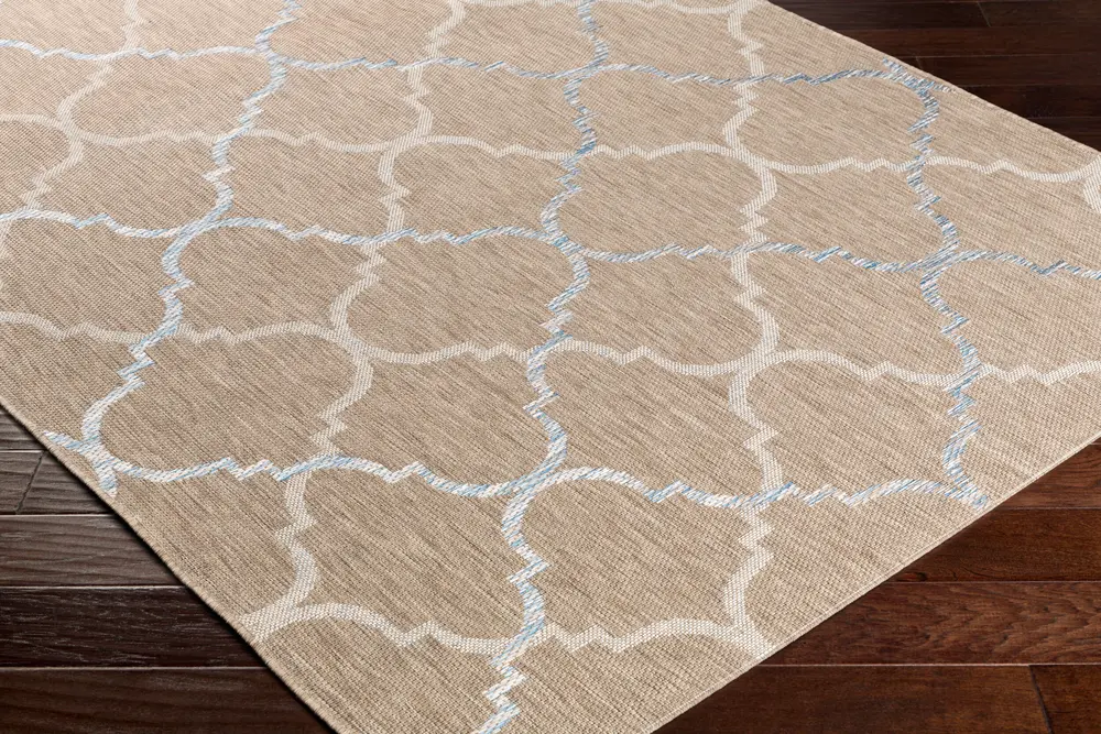 Santa Cruz STZ-6008 5'3