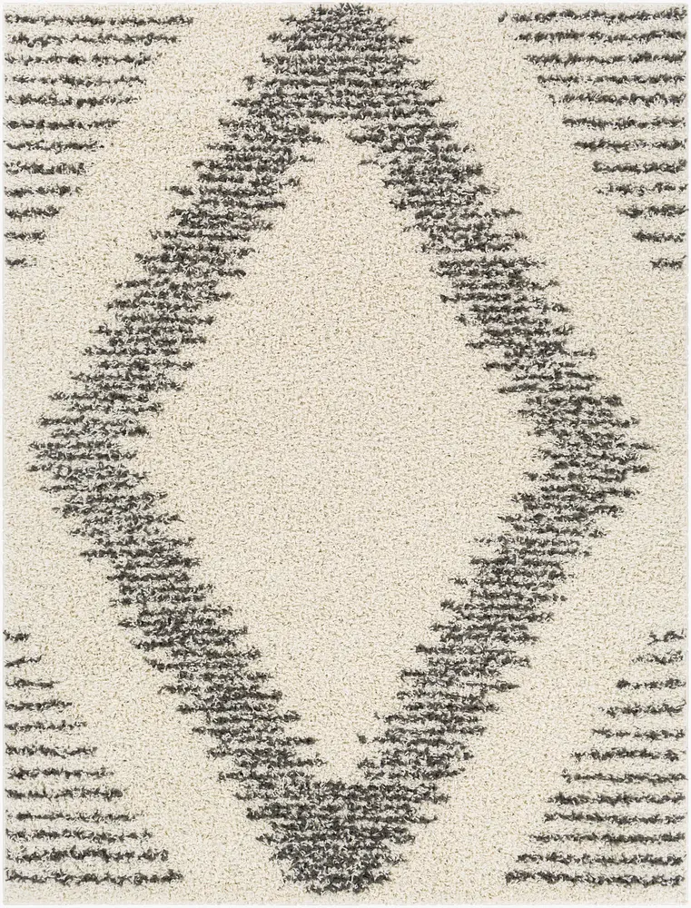 Taza Shag TZS-2334  Machine Woven Rug